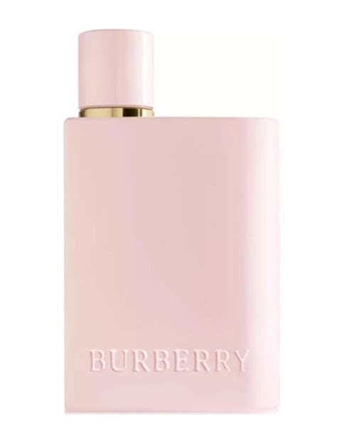 burberry body fragrantica.